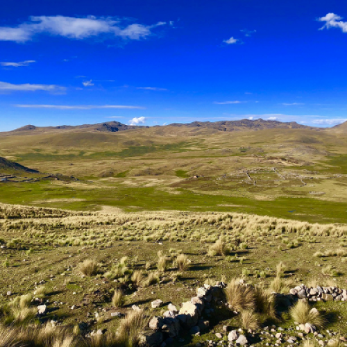 Terrain Near Jasperoide