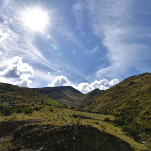 Terrain Near Jasperoide