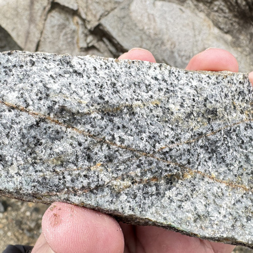 Khaleesi rock chip sample