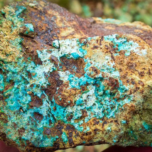 Khaleesi rock chip sample - garnet skarn