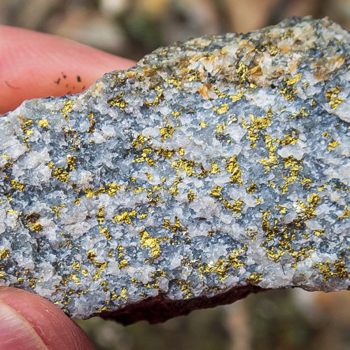 Khaleesi rock chip sample - chalcopyrite, diorite, muscovite & silica flooding