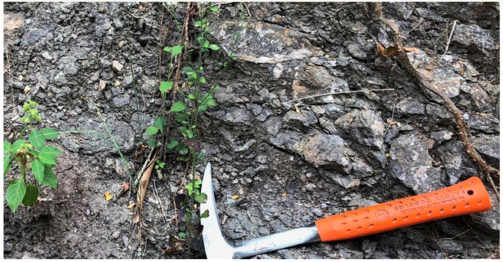 Field image